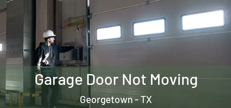  Garage Door Not Moving Georgetown - TX