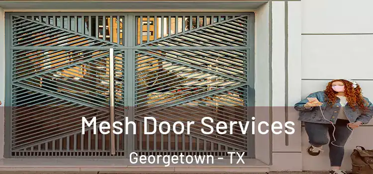 Mesh Door Services Georgetown - TX
